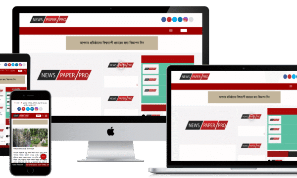 Newspaper Pro Theme Download