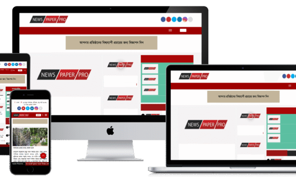 Newspaper Pro WordPress Theme Download